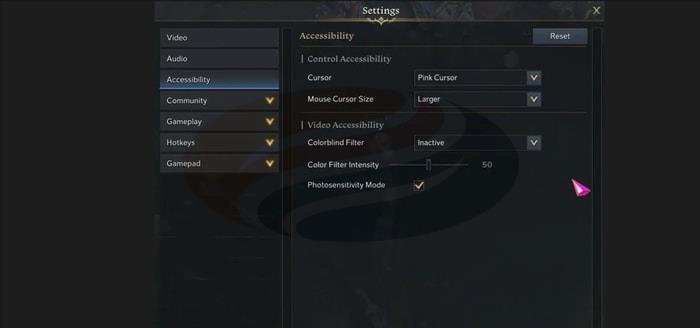 Lost Ark Accessibility Setting